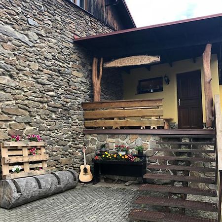 Špičák - U Barabů Zelezna Ruda Exterior foto