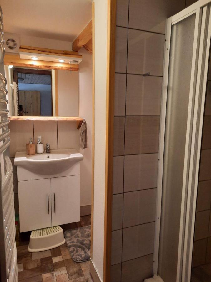Špičák - U Barabů Zelezna Ruda Exterior foto