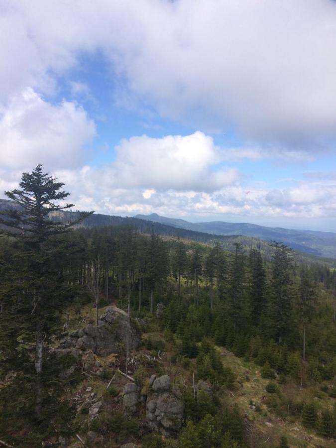 Špičák - U Barabů Zelezna Ruda Exterior foto