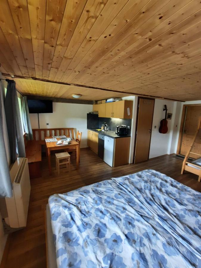 Špičák - U Barabů Zelezna Ruda Exterior foto