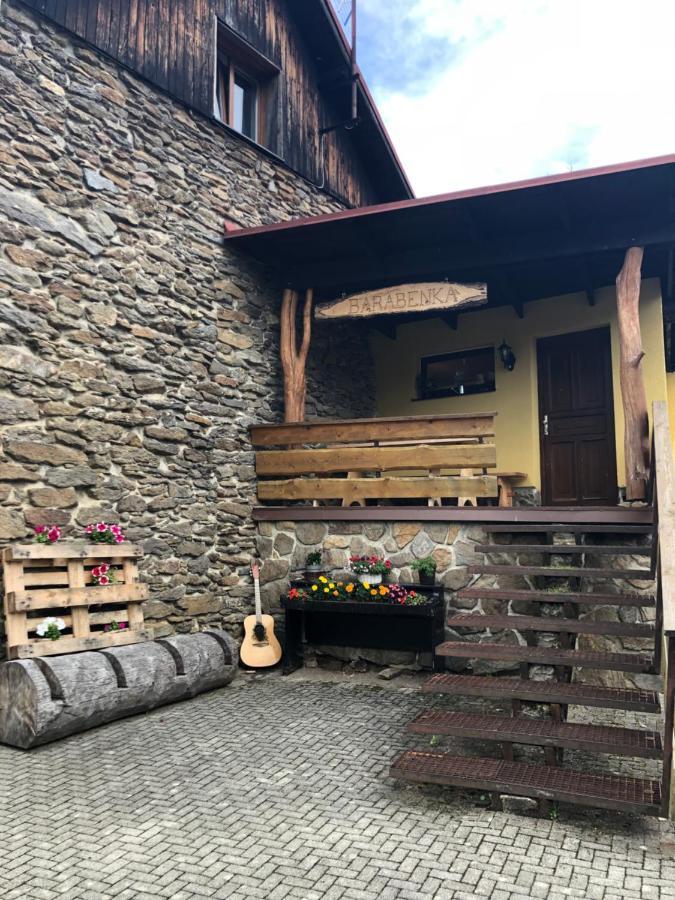 Špičák - U Barabů Zelezna Ruda Exterior foto